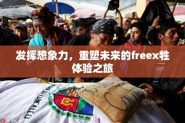 发挥想象力，重塑未来的freex牲体验之旅