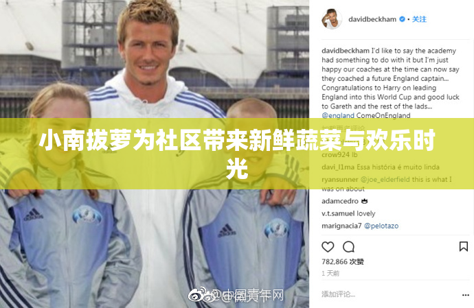 小南拔萝为社区带来新鲜蔬菜与欢乐时光