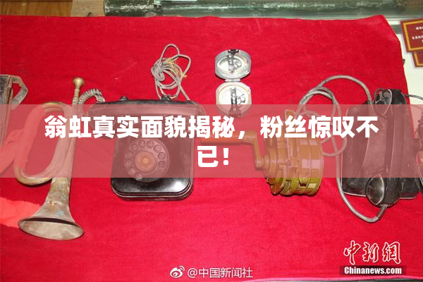 翁虹真实面貌揭秘，粉丝惊叹不已！