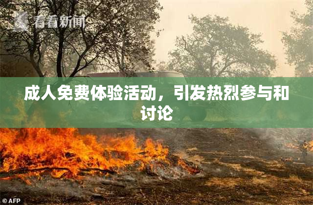 成人免费体验活动，引发热烈参与和讨论