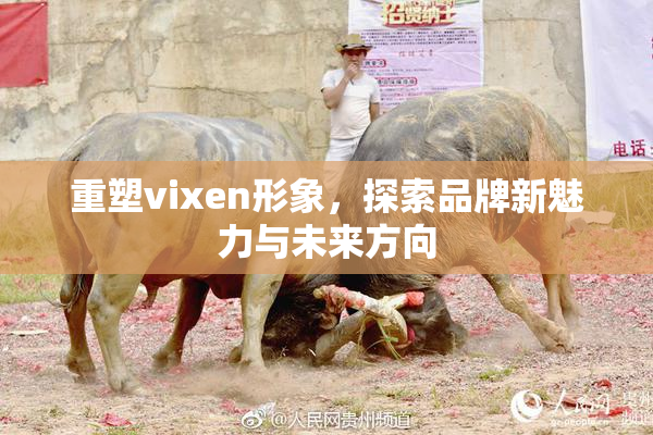 重塑vixen形象，探索品牌新魅力与未来方向