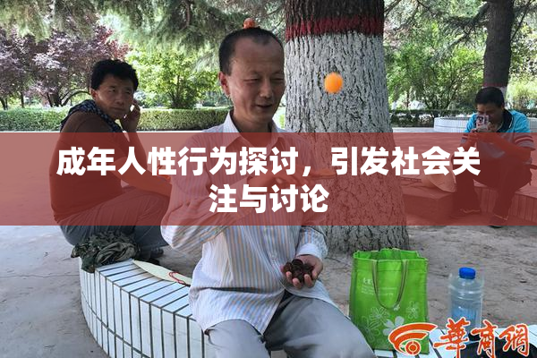 成年人性行为探讨，引发社会关注与讨论