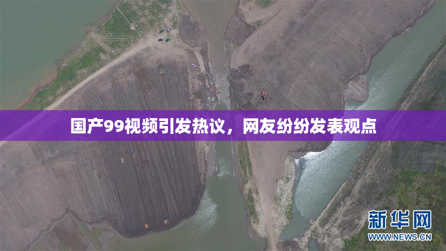 国产99视频引发热议，网友纷纷发表观点