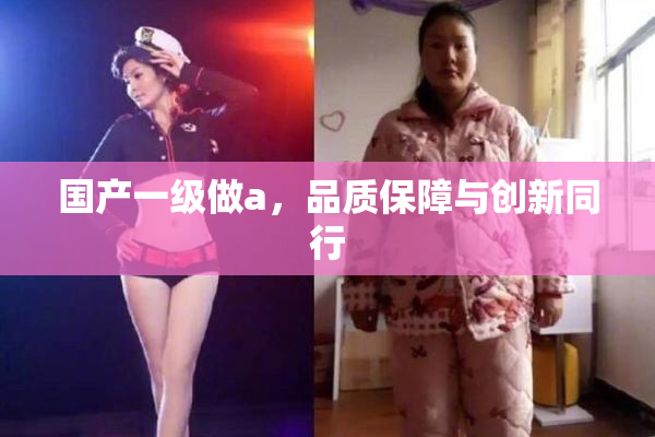 国产一级做a，品质保障与创新同行