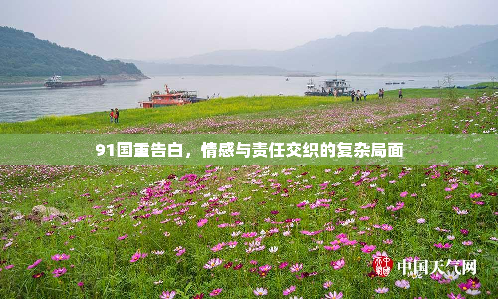 91国重告白，情感与责任交织的复杂局面