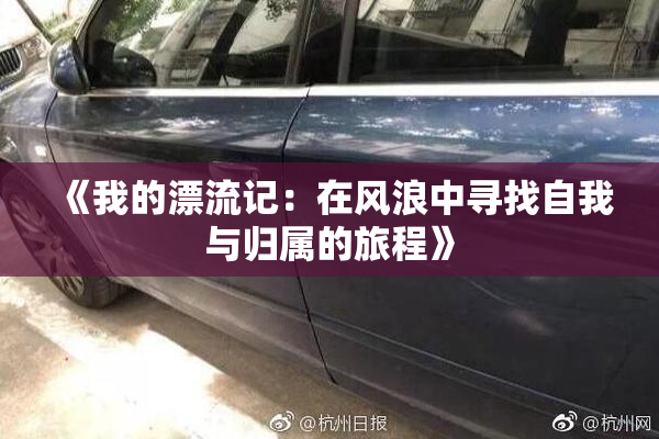 《我的漂流记：在风浪中寻找自我与归属的旅程》
