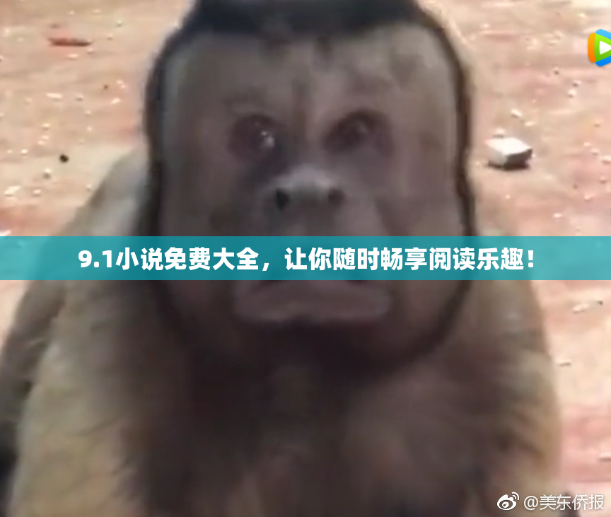 9.1小说免费大全，让你随时畅享阅读乐趣！