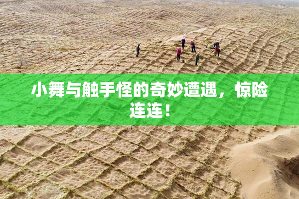 小舞与触手怪的奇妙遭遇，惊险连连！