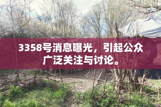 3358号消息曝光，引起公众广泛关注与讨论。