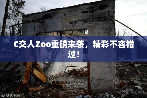 C交人Zoo重磅来袭，精彩不容错过！