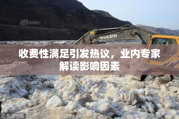 收费性满足引发热议，业内专家解读影响因素