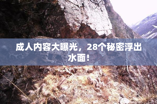成人内容大曝光，28个秘密浮出水面！