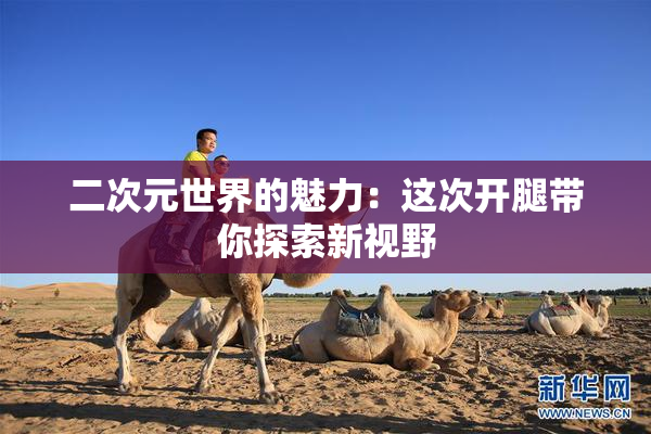 二次元世界的魅力：这次开腿带你探索新视野