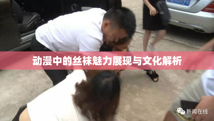 动漫中的丝袜魅力展现与文化解析