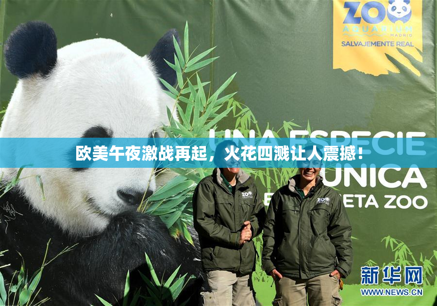 欧美午夜激战再起，火花四溅让人震撼！