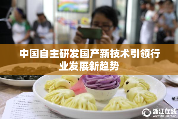 中国自主研发国产新技术引领行业发展新趋势
