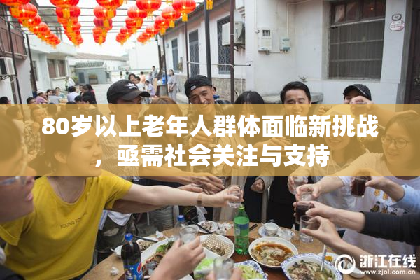80岁以上老年人群体面临新挑战，亟需社会关注与支持