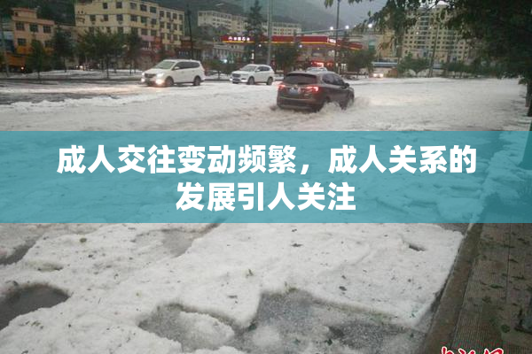 成人交往变动频繁，成人关系的发展引人关注