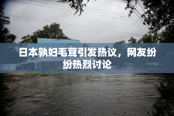 日本孰妇毛茸引发热议，网友纷纷热烈讨论