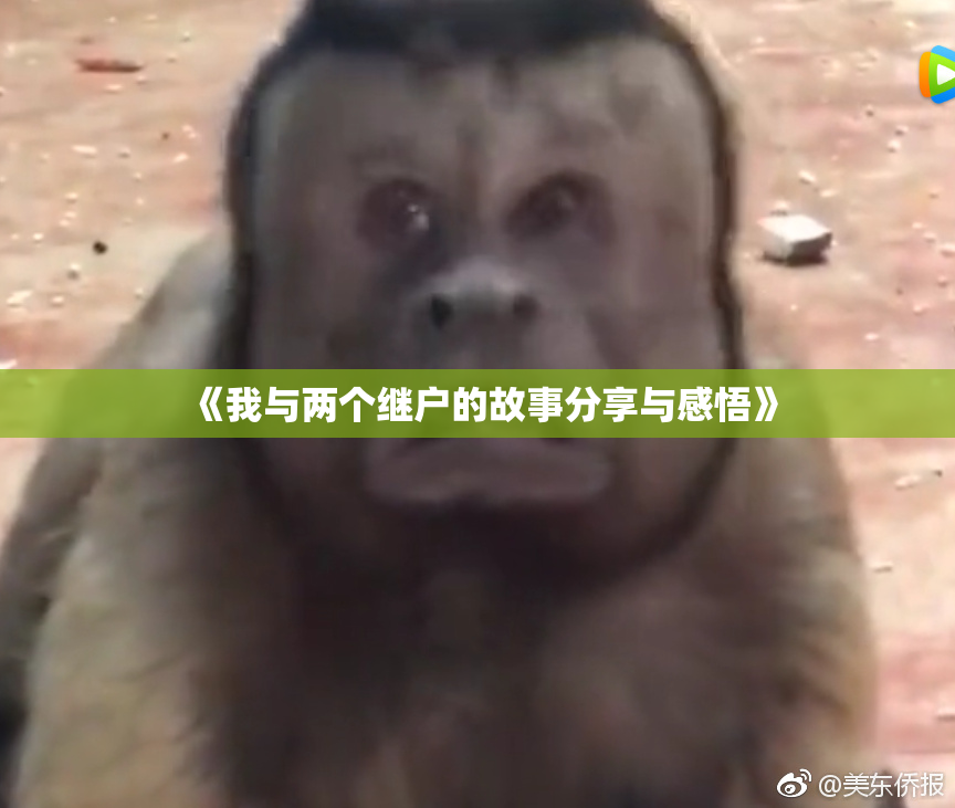 《我与两个继户的故事分享与感悟》