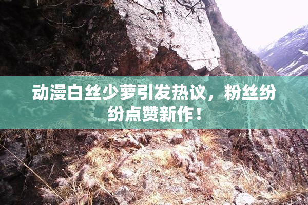 动漫白丝少萝引发热议，粉丝纷纷点赞新作！