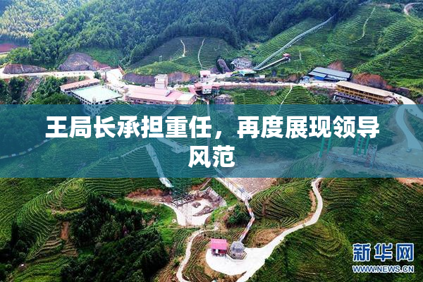 王局长承担重任，再度展现领导风范