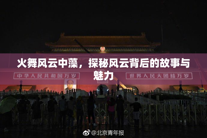 火舞风云中藻，探秘风云背后的故事与魅力