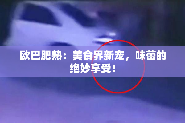 欧巴肥熟：美食界新宠，味蕾的绝妙享受！