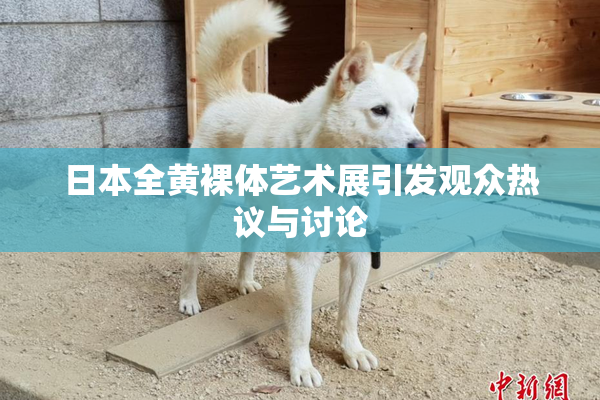 日本全黄裸体艺术展引发观众热议与讨论