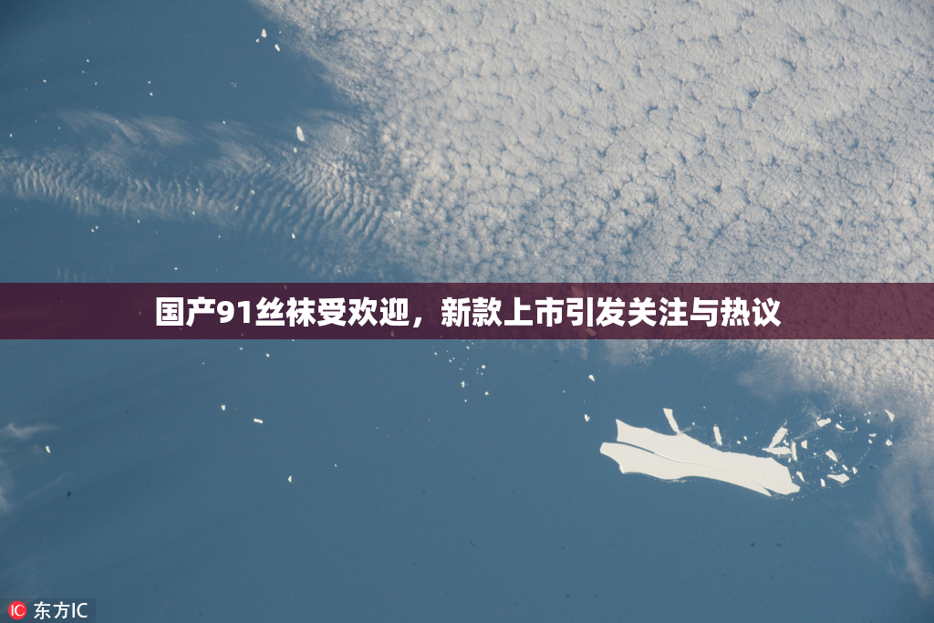 国产91丝袜受欢迎，新款上市引发关注与热议
