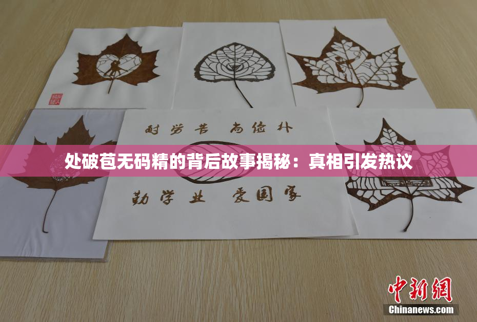 处破苞无码精的背后故事揭秘：真相引发热议