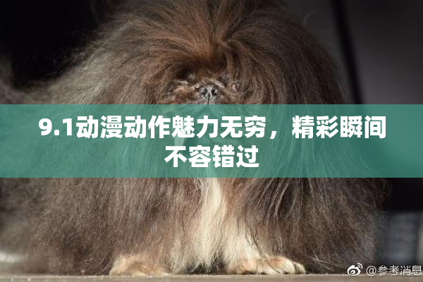 9.1动漫动作魅力无穷，精彩瞬间不容错过