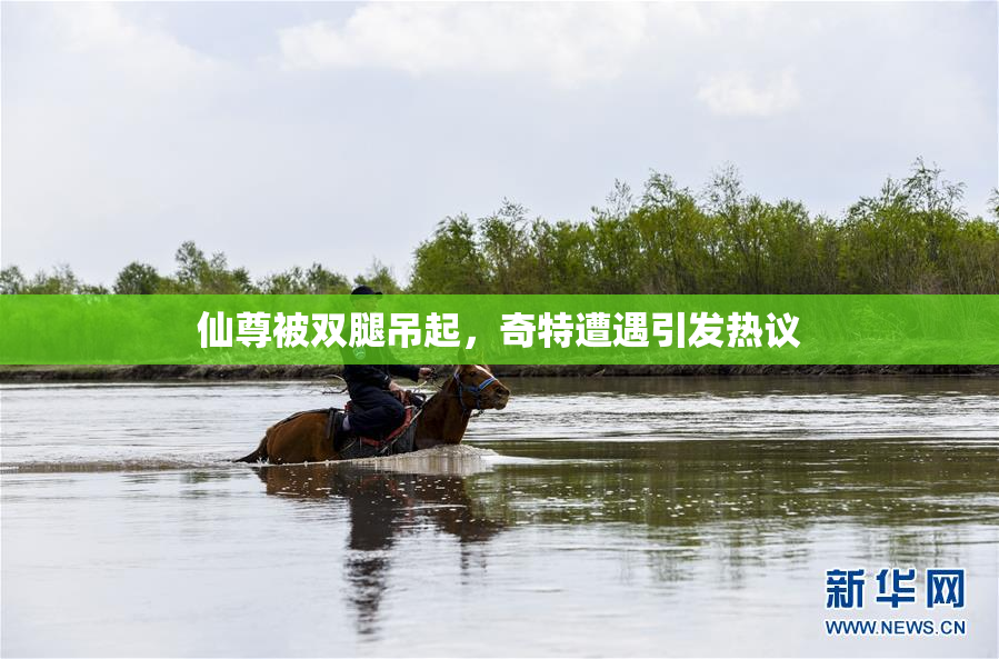 仙尊被双腿吊起，奇特遭遇引发热议