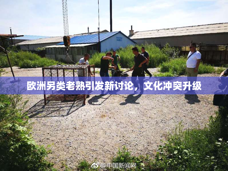 欧洲另类老熟引发新讨论，文化冲突升级
