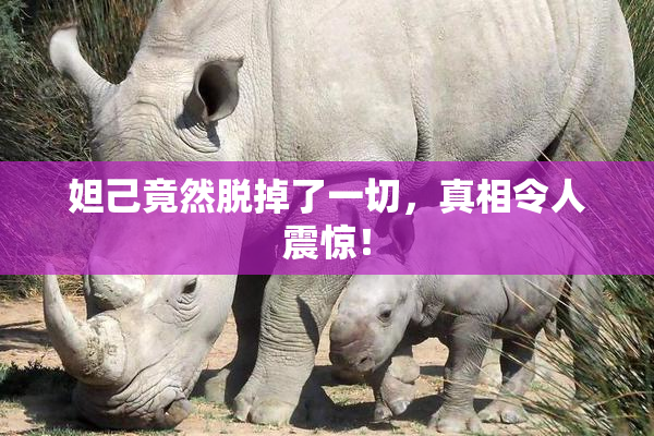 妲己竟然脱掉了一切，真相令人震惊！
