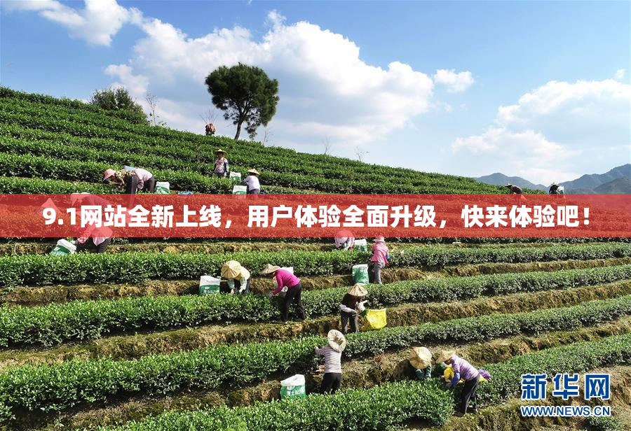 9.1网站全新上线，用户体验全面升级，快来体验吧！