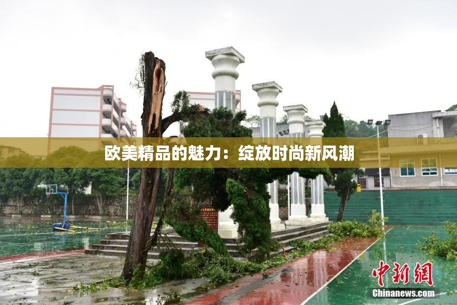 欧美精品的魅力：绽放时尚新风潮