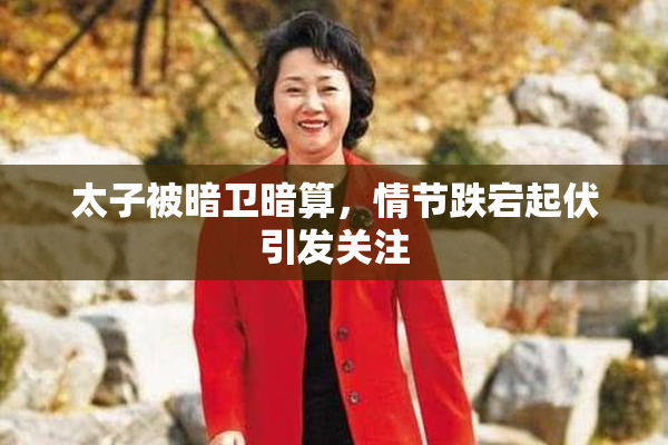 太子被暗卫暗算，情节跌宕起伏引发关注