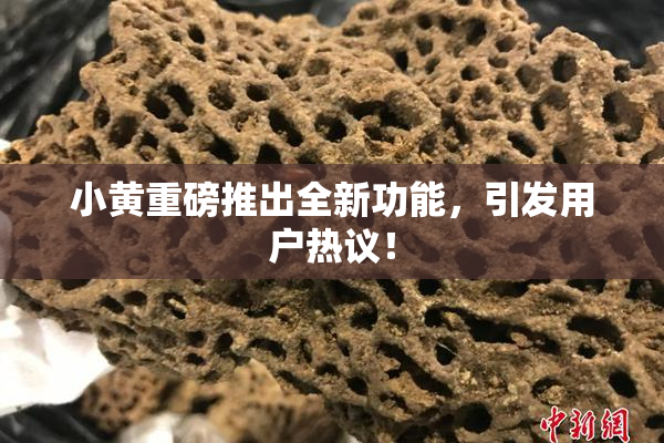 小黄重磅推出全新功能，引发用户热议！