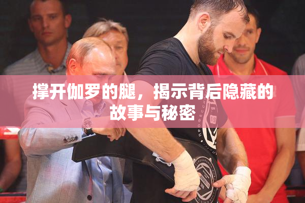 撑开伽罗的腿，揭示背后隐藏的故事与秘密