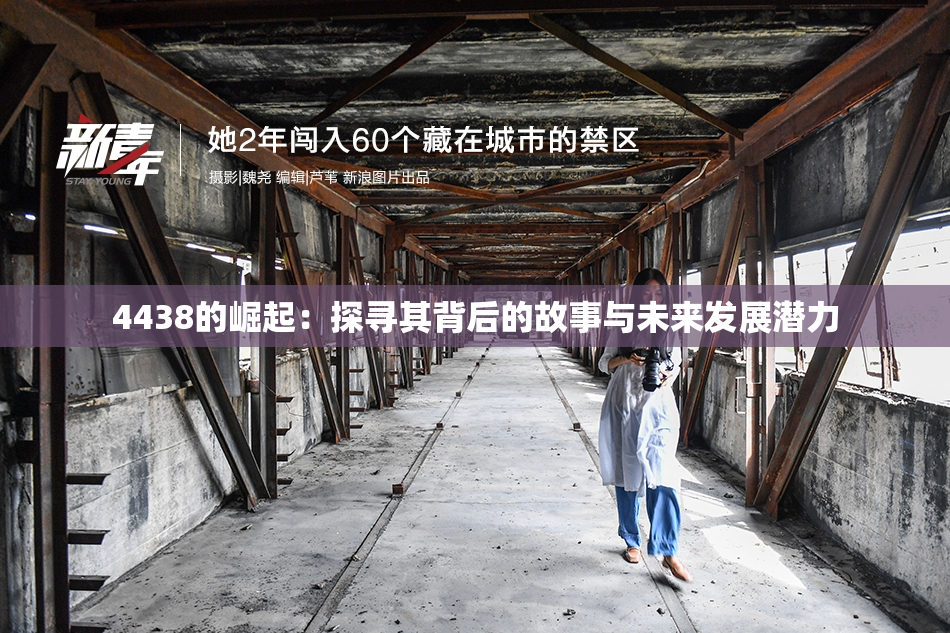 4438的崛起：探寻其背后的故事与未来发展潜力