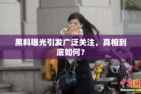 黑料曝光引发广泛关注，真相到底如何？