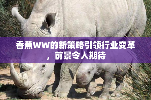 香蕉WW的新策略引领行业变革，前景令人期待