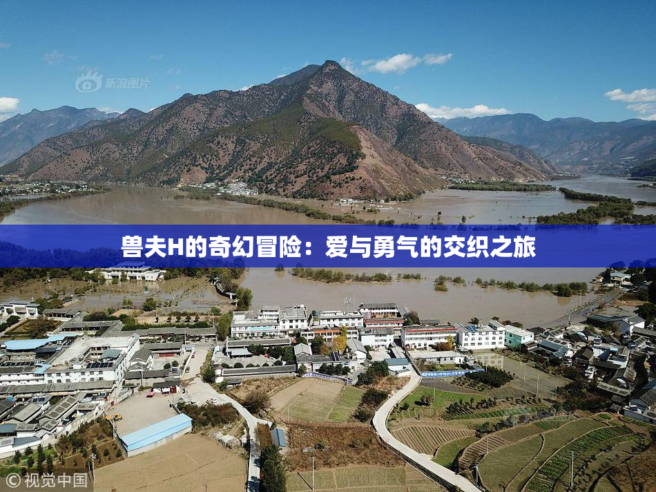 兽夫H的奇幻冒险：爱与勇气的交织之旅