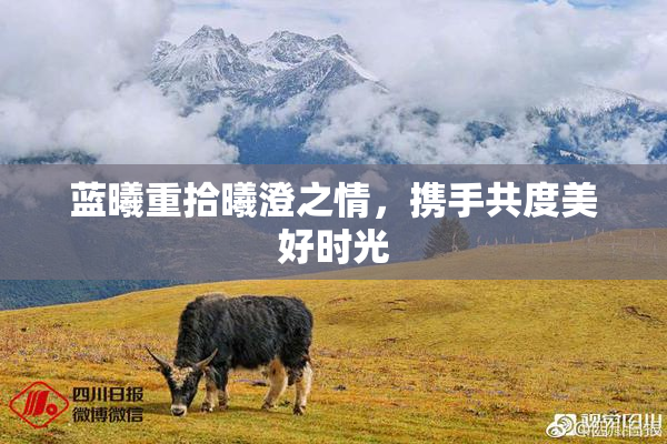 蓝曦重拾曦澄之情，携手共度美好时光