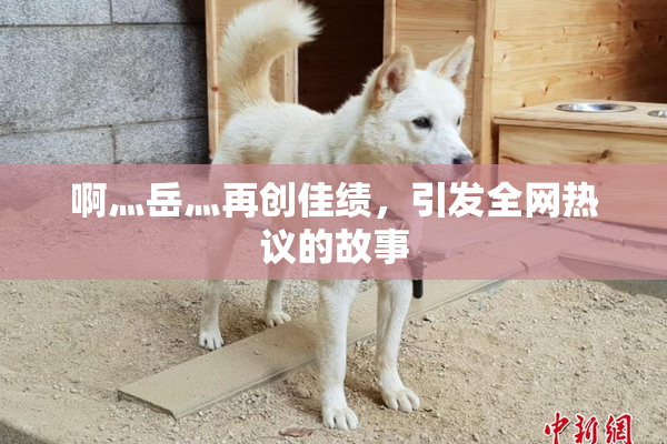 啊灬岳灬再创佳绩，引发全网热议的故事