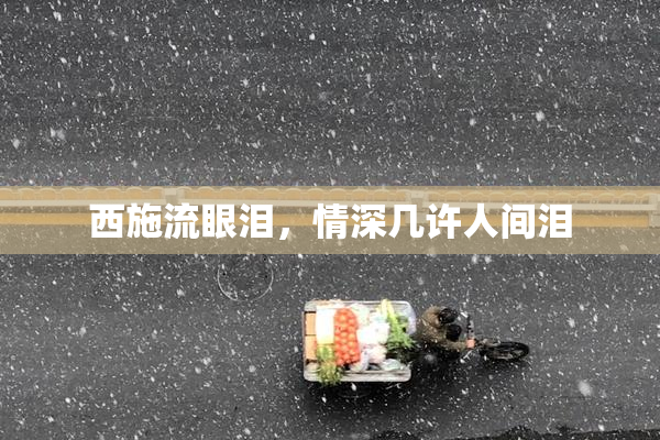 西施流眼泪，情深几许人间泪