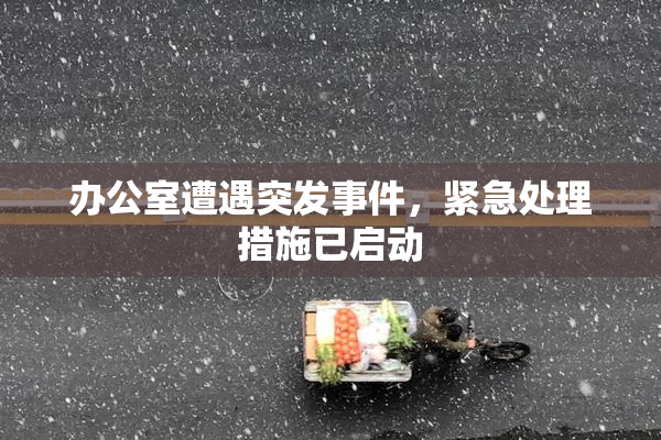 办公室遭遇突发事件，紧急处理措施已启动
