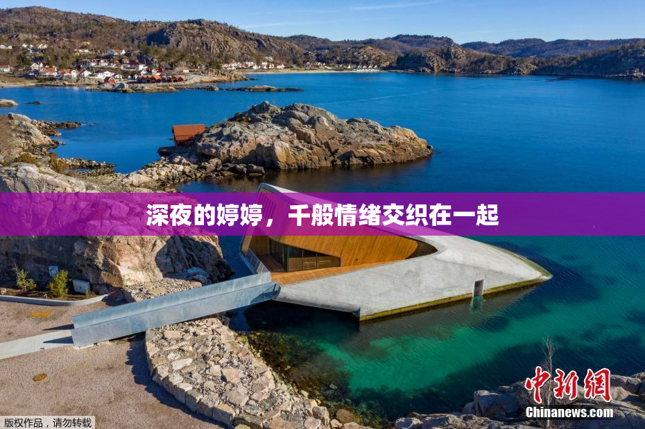 深夜的婷婷，千般情绪交织在一起