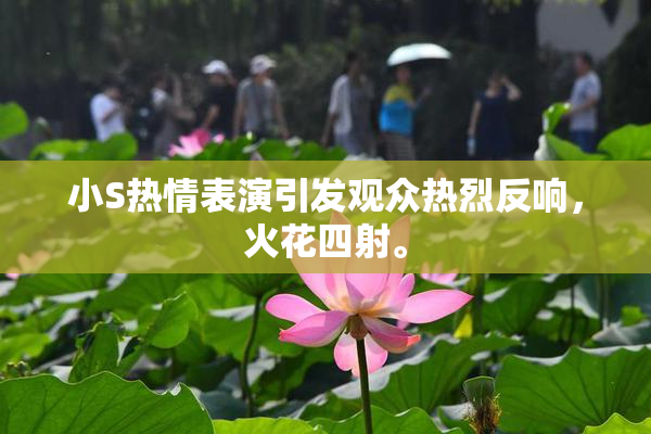 小S热情表演引发观众热烈反响，火花四射。